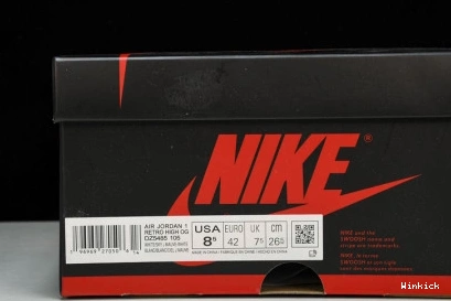 High “Mauve” DZ5485-105 Jordan OG 1 1113